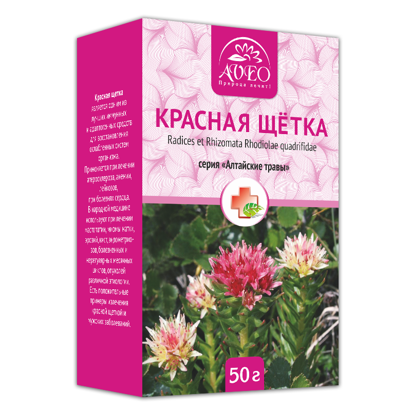 Как для похудения употреблять красную щетку?
